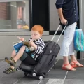 Арендовать Lugabug reisiiste миниатюра 1